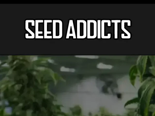 Seed Addicts