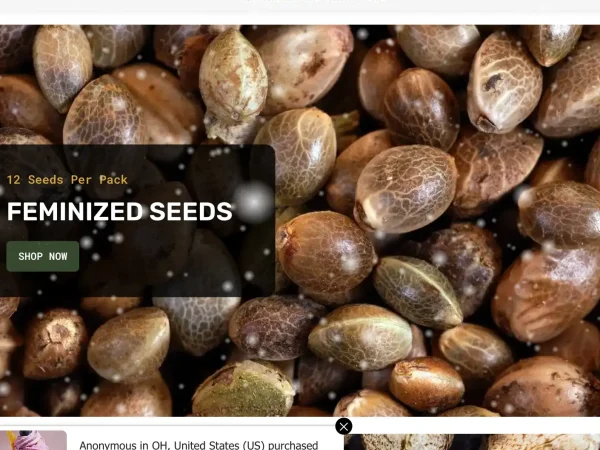 Seed Bank Seedlys